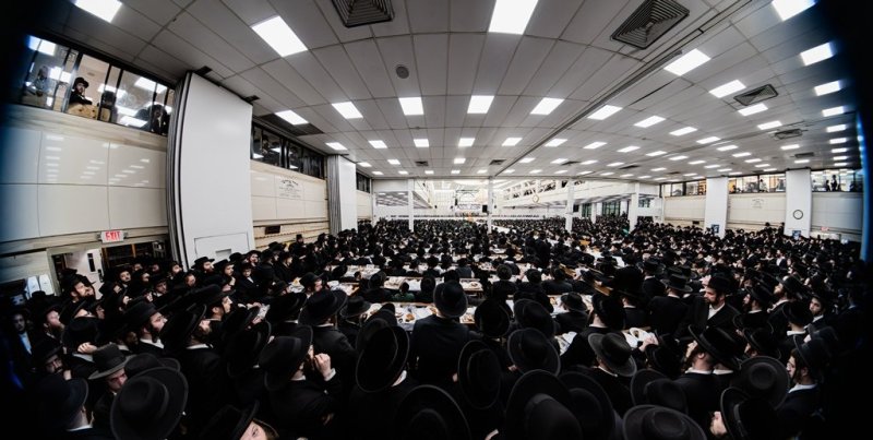 י. שטיין