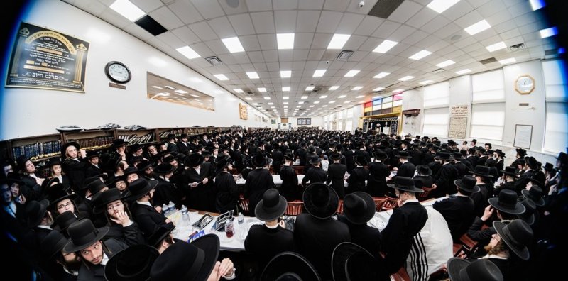 י. שטיין