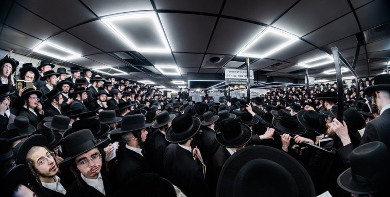 י. שטיין