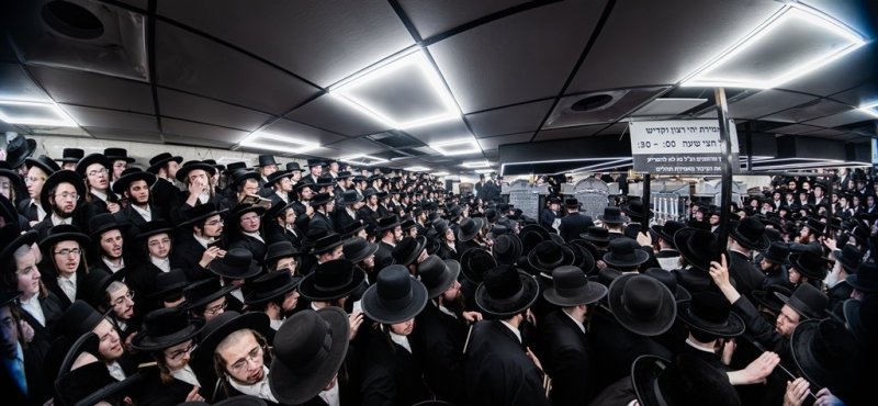 י. שטיין