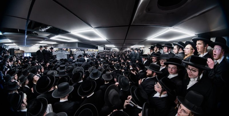 י. שטיין