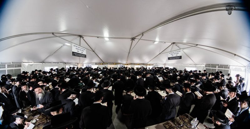 י. שטיין