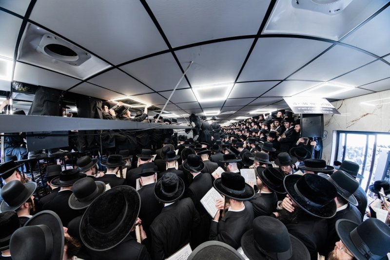 י. שטיין