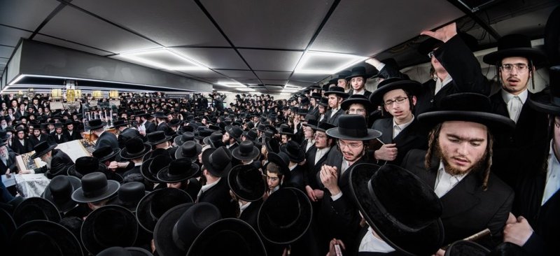 י. שטיין
