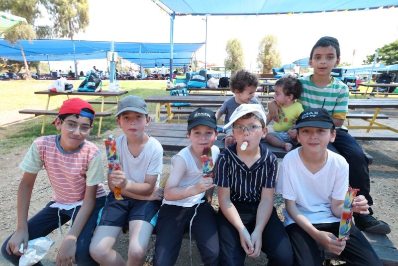 יעקב כהן