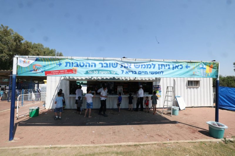 יעקב כהן