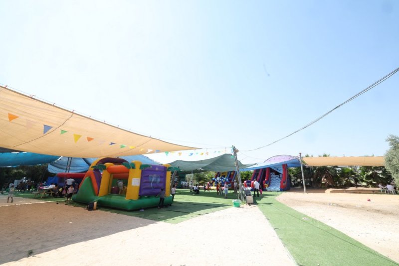 יעקב כהן