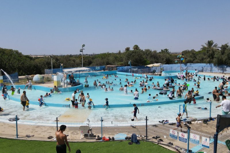 יעקב כהן