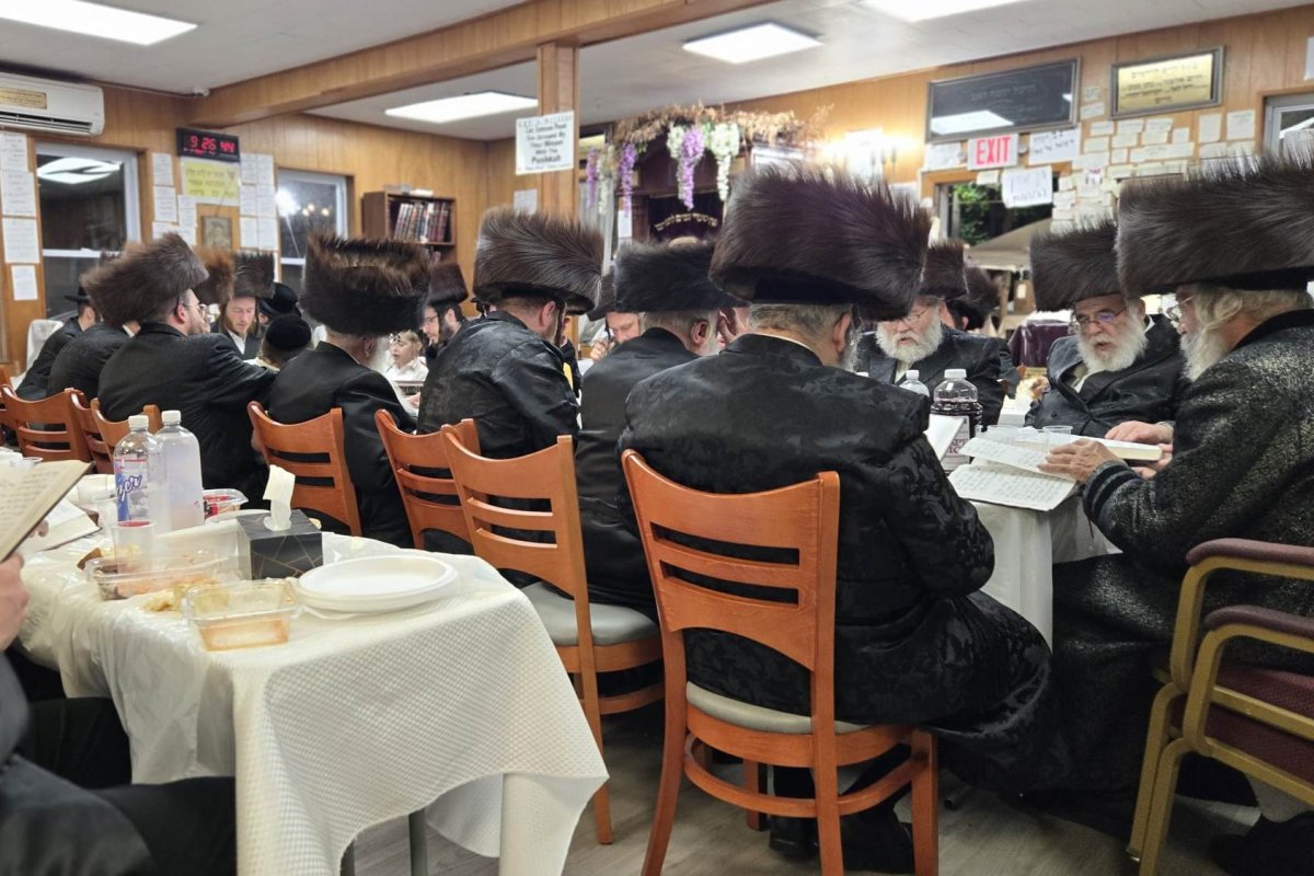 באדיבות המצלם