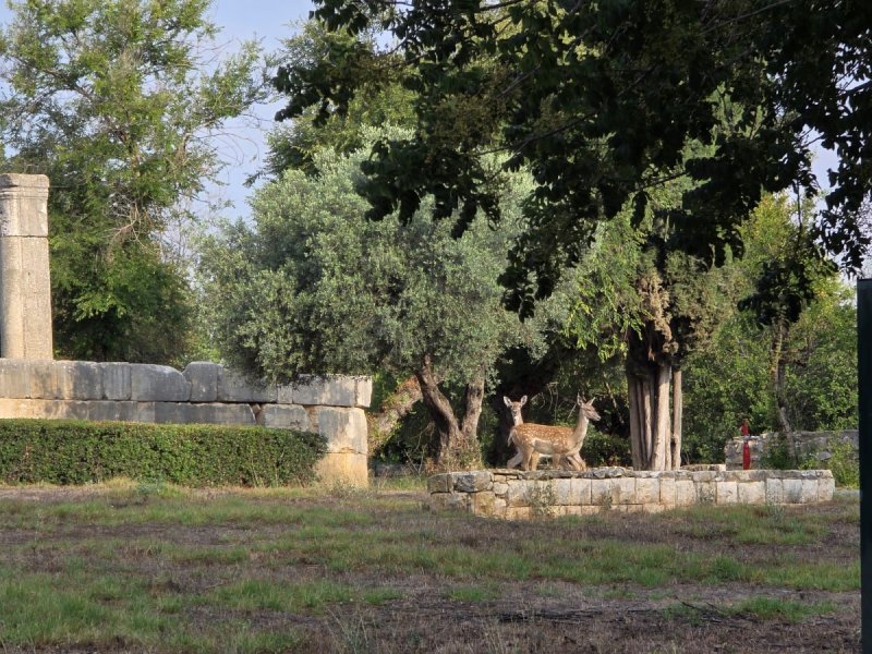 גיא כהן רשות הטבע והגנים