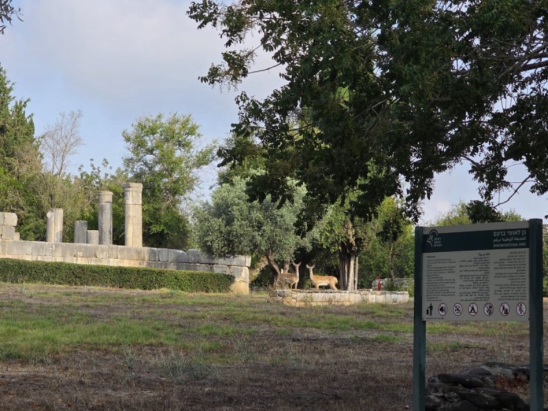 גיא כהן רשות הטבע והגנים