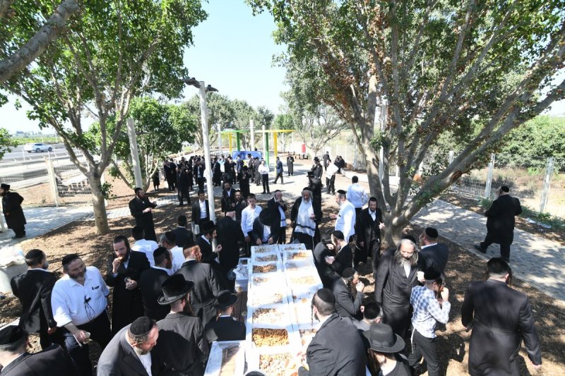 א. אייזנבאך