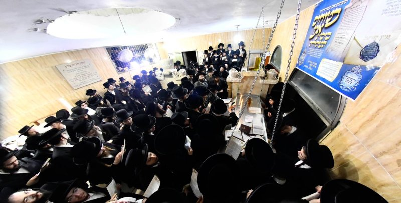 שוקי לרר