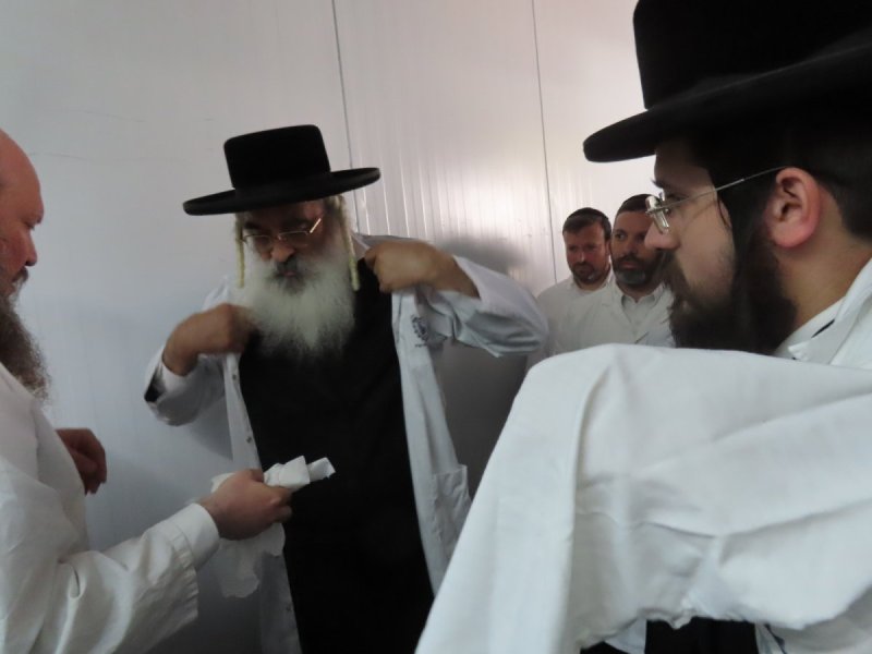שלומי טריכטר