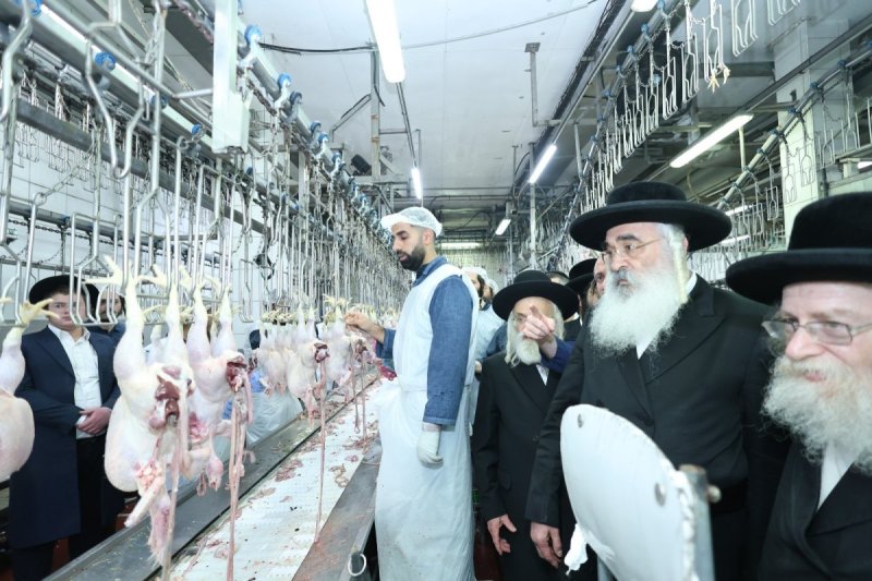 שלומי טריכטר