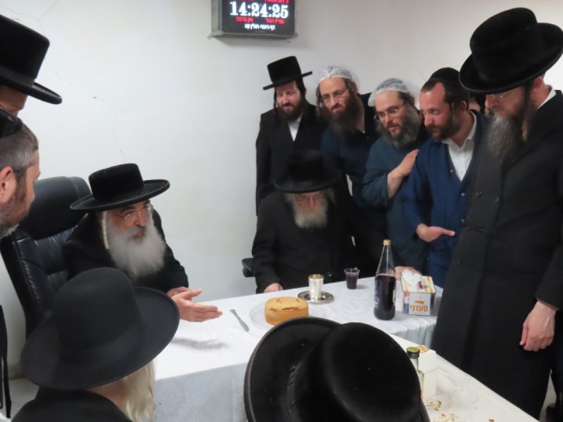 שלומי טריכטר