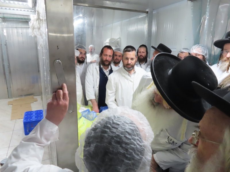 שלומי טריכטר