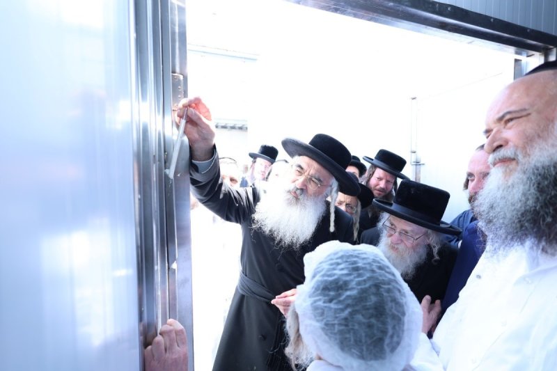 שלומי טריכטר