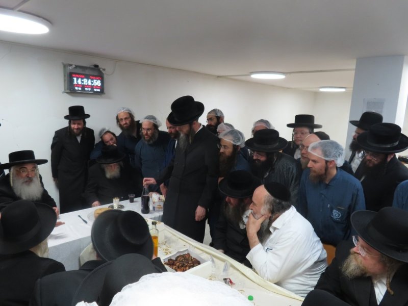 שלומי טריכטר