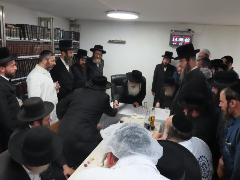 שלומי טריכטר