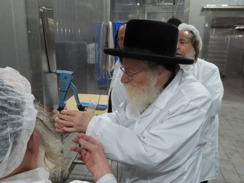 שלומי טריכטר