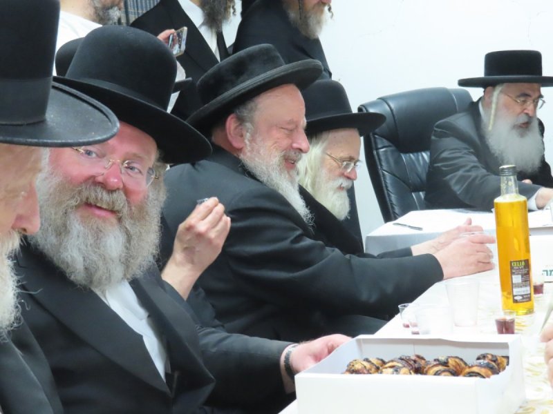 שלומי טריכטר