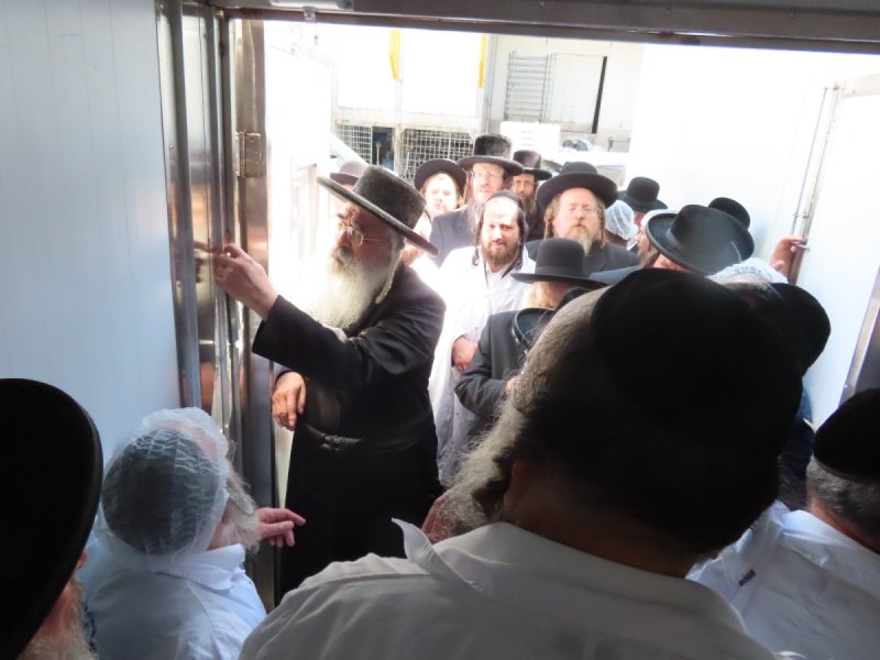 שלומי טריכטר