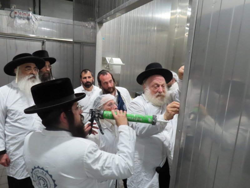 שלומי טריכטר