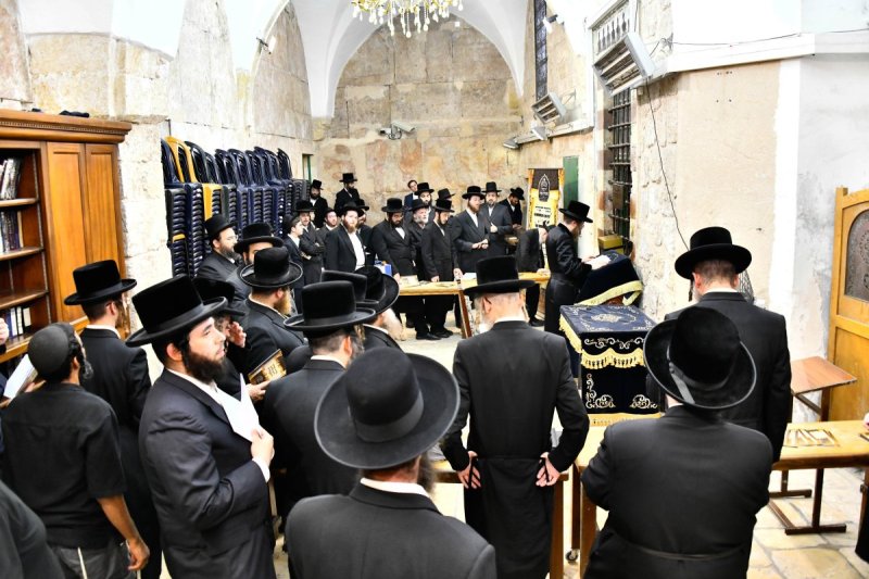 שוקי לרר