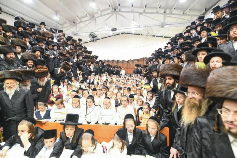 ארי קופרשטוק