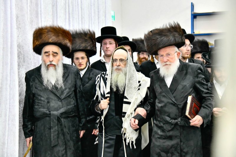 שוקי לרר