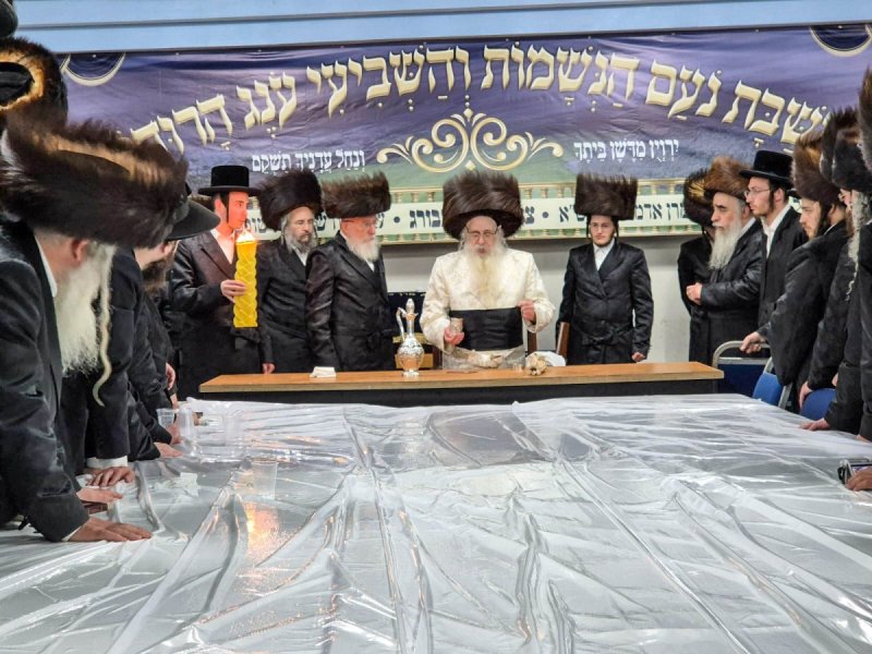 שוקי לרר