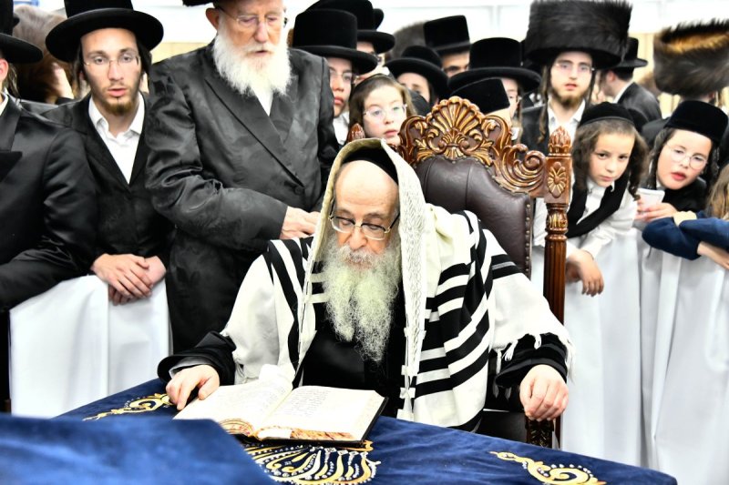 שוקי לרר