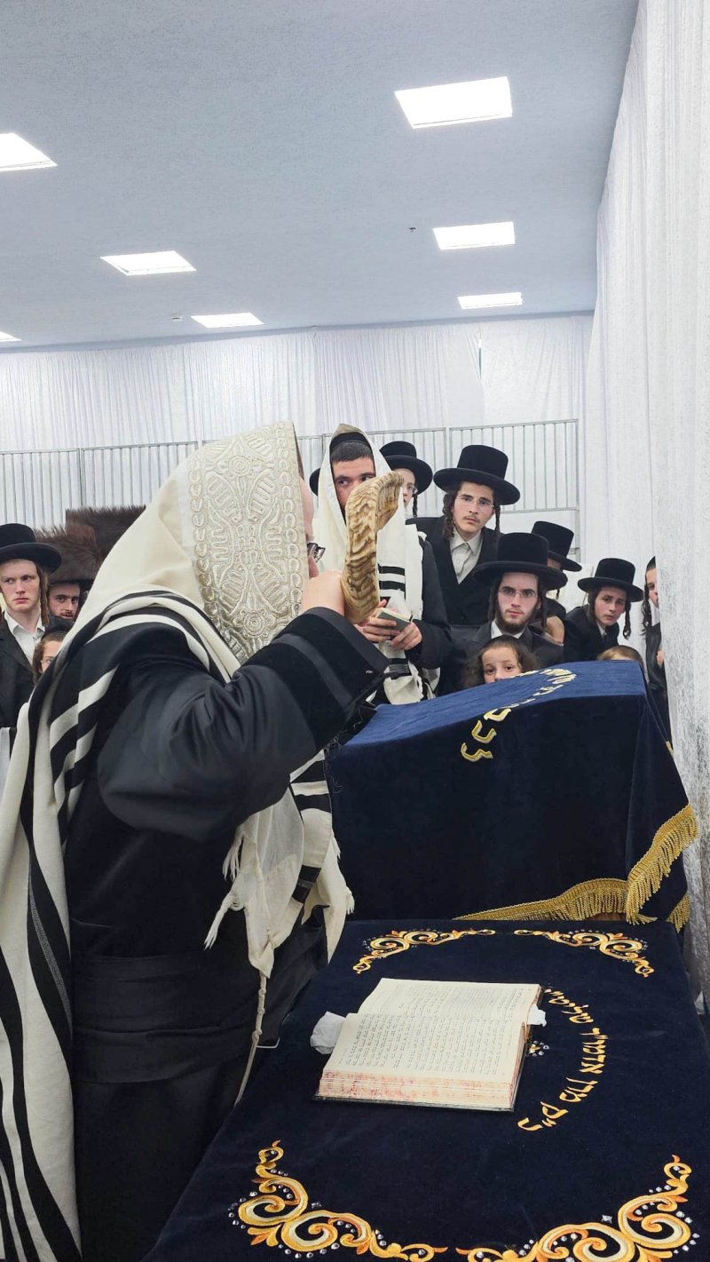 שוקי לרר