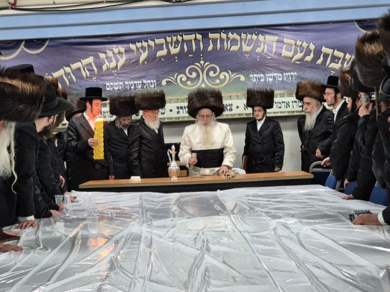 שוקי לרר