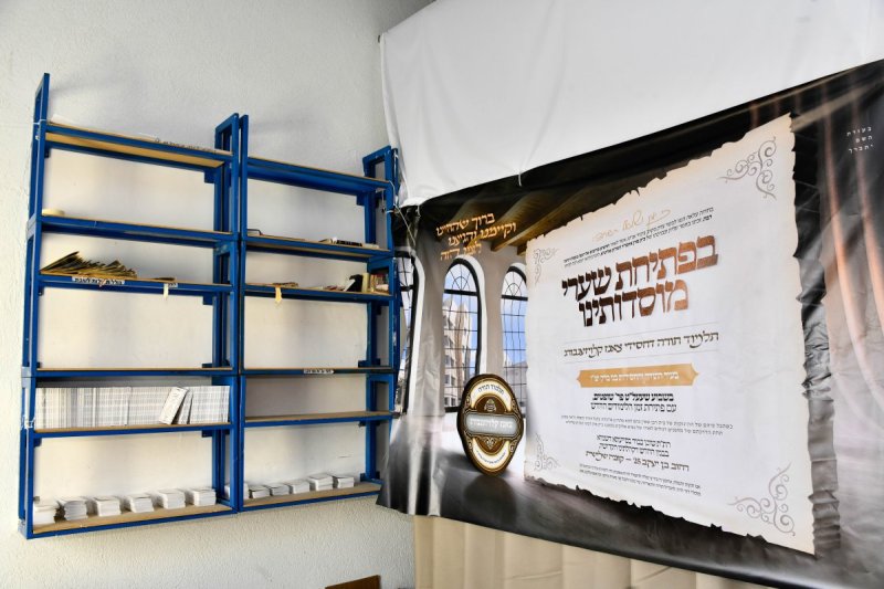 שוקי לרר