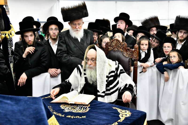 שוקי לרר
