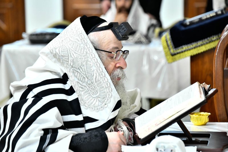 שוקי לרר