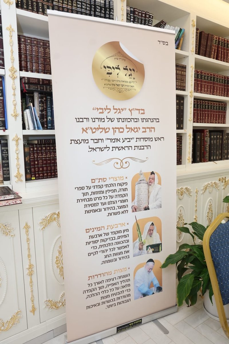 נועם אליהו