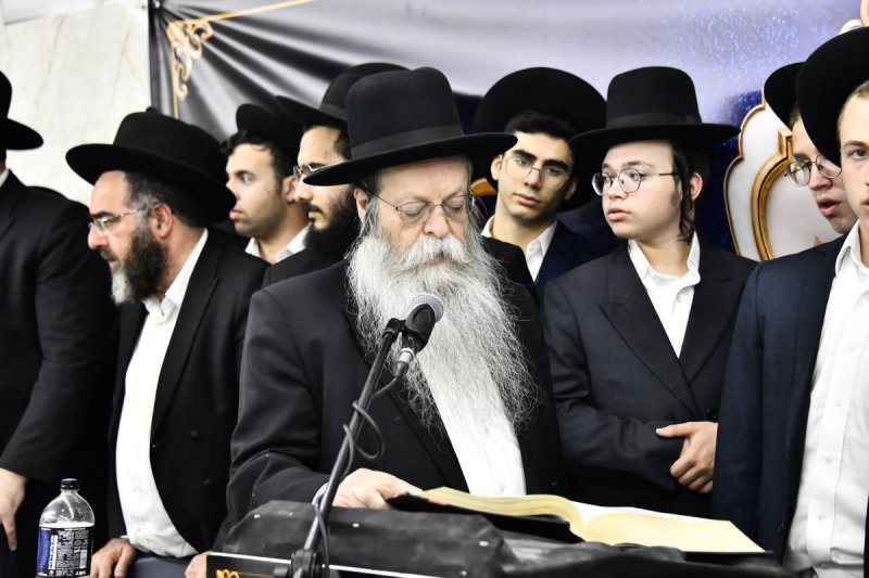 שוקי לרר