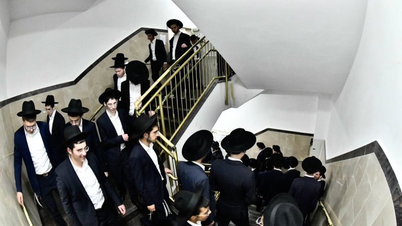 שוקי לרר