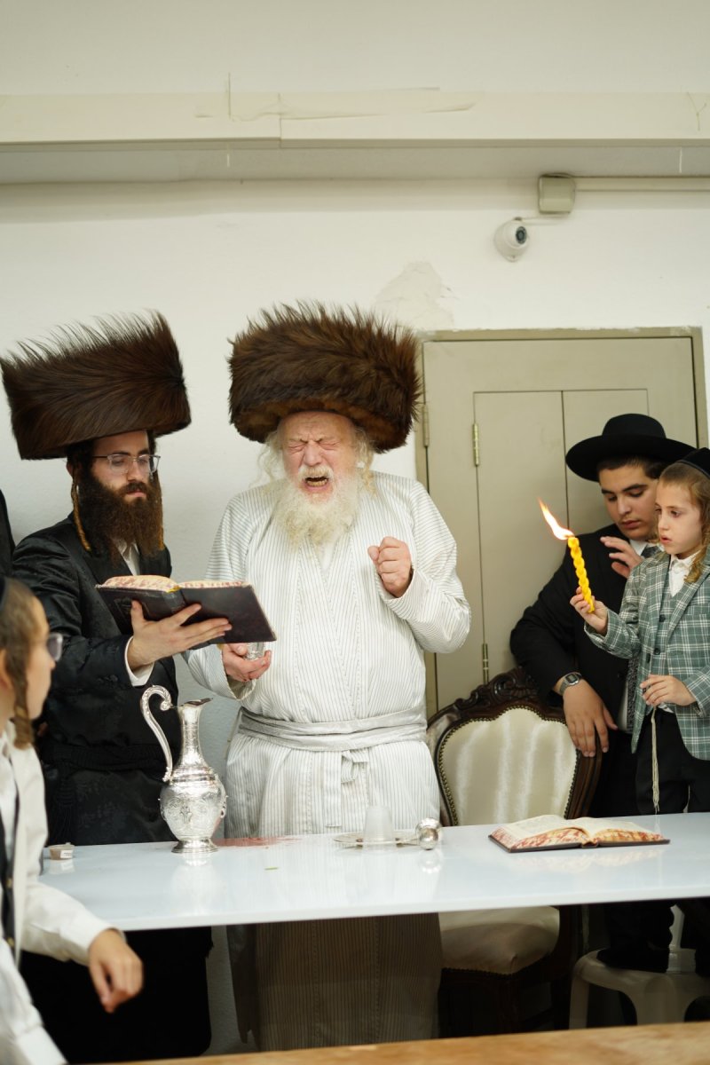 שימי פ.