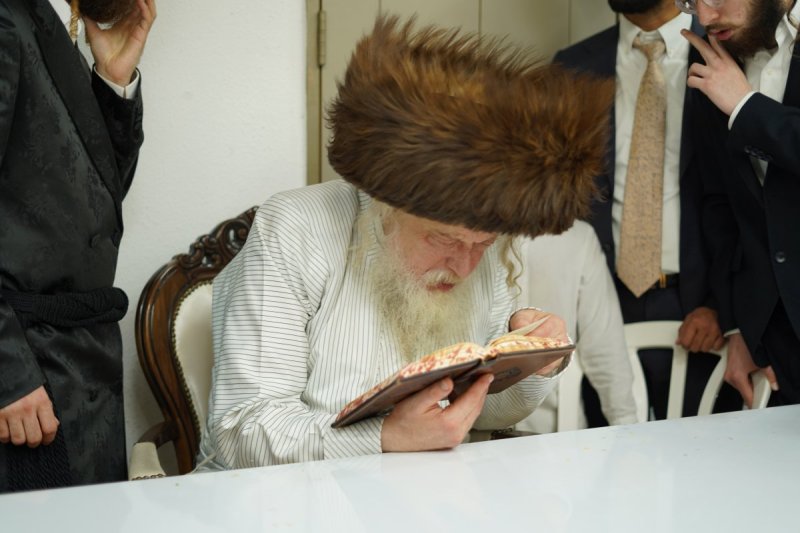 שימי פ.