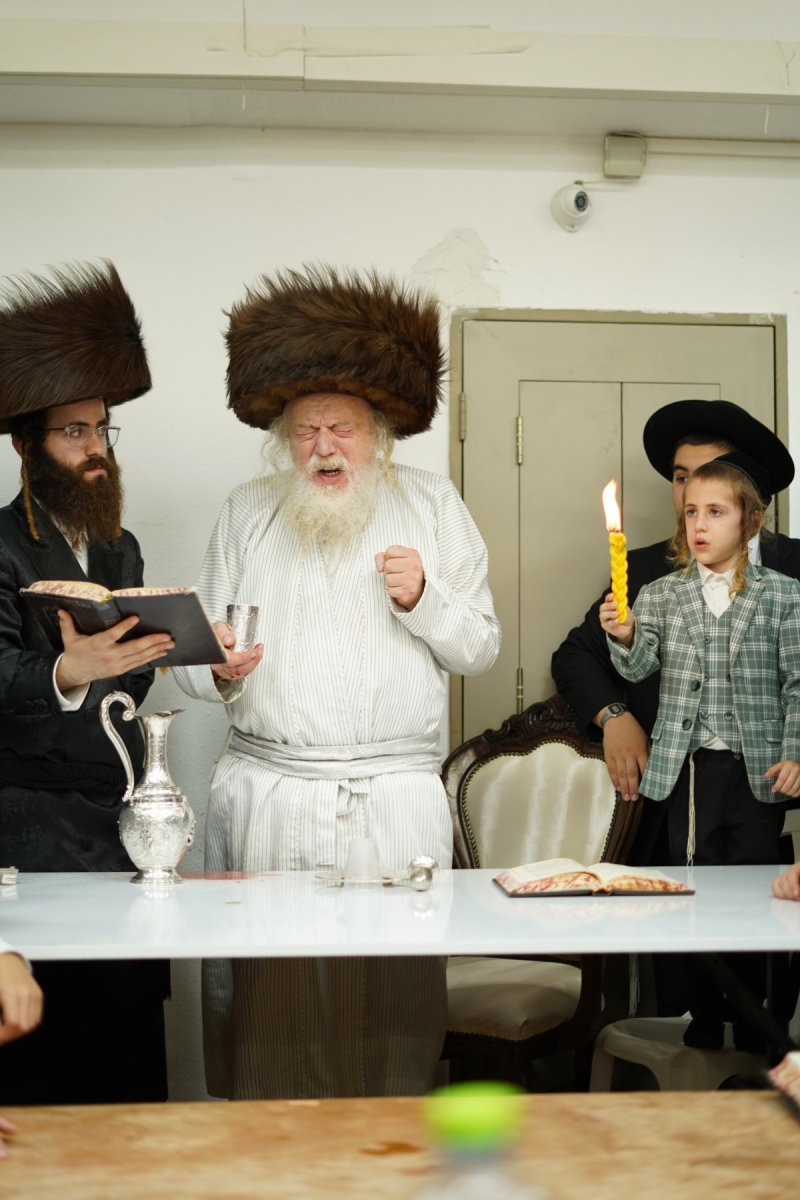 שימי פ.