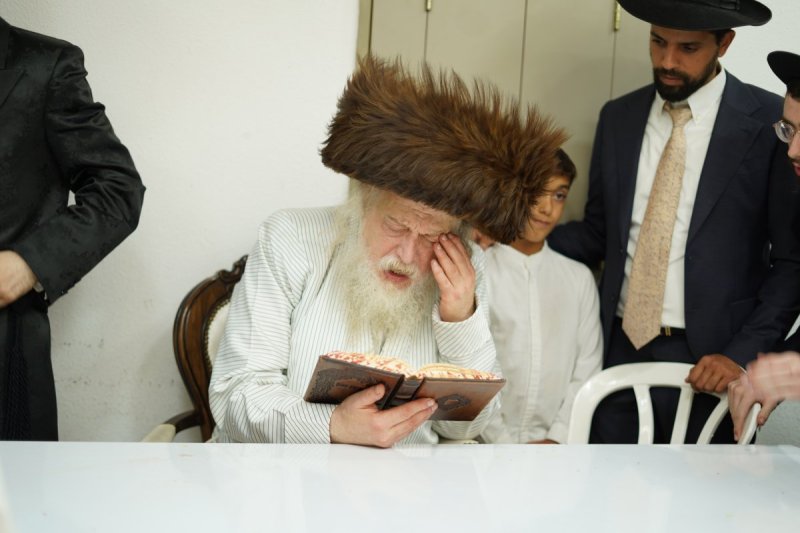 שימי פ.
