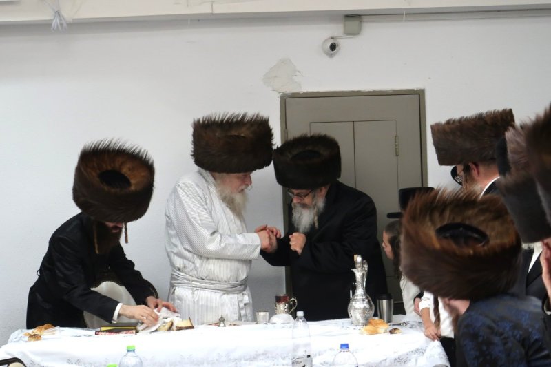 שימי פ.
