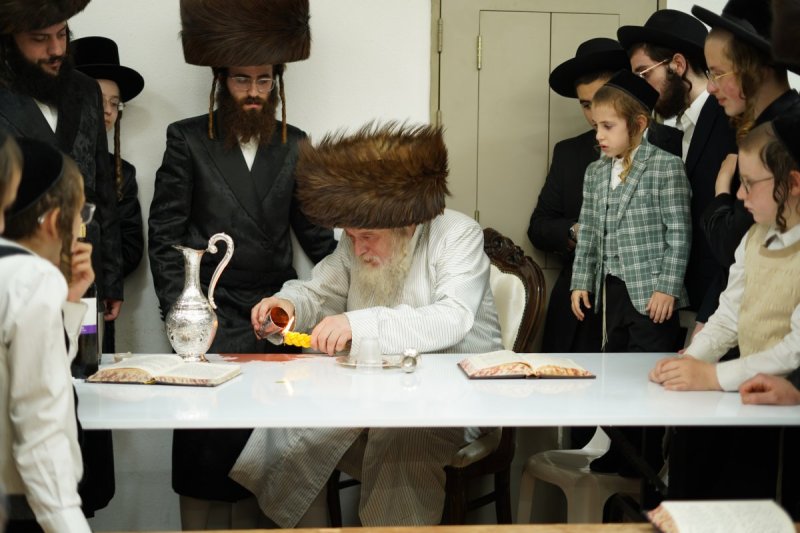 שימי פ.
