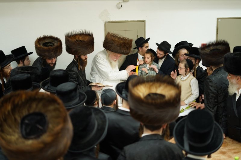 שימי פ.
