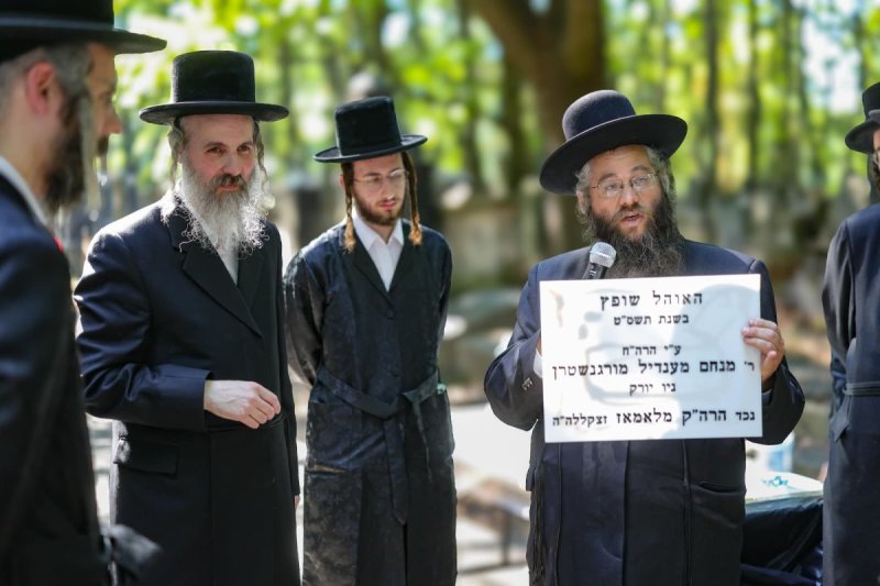 ינון שובלי