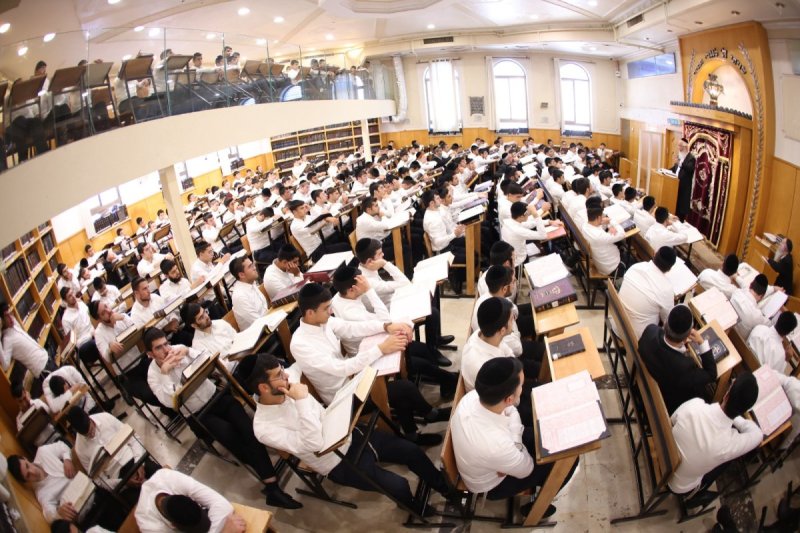באדיבות המצלם